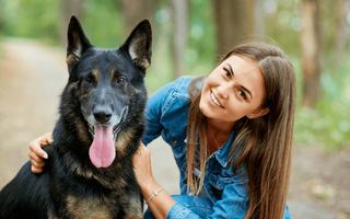 Are German Shepherd Dogs Good Family Pets? A Comprehensive Look