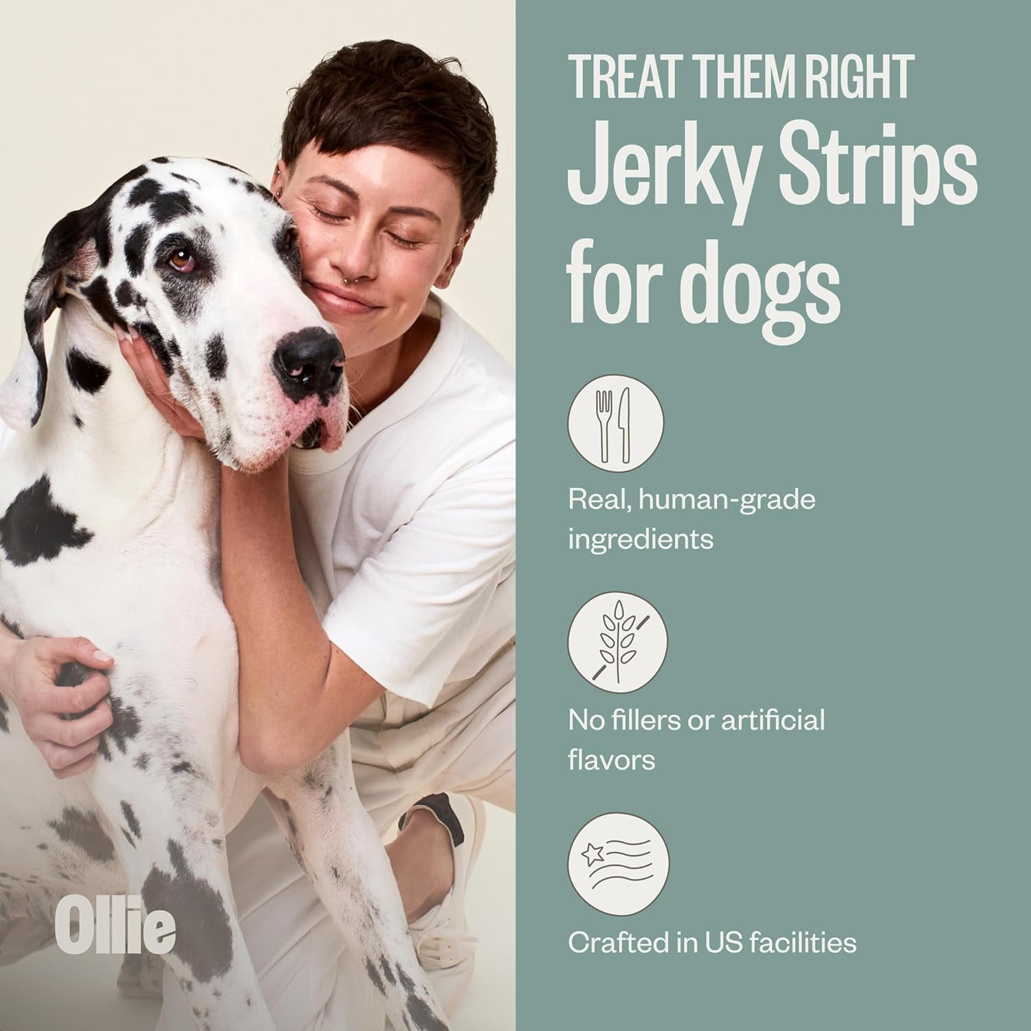 Ollie Chicken and Apple Recipe Jerky Dog Treats - Dog Jerky Treats All Natural - Healthy Dog Treats - Chicken Jerky for Dogs - Real Meat Dog Treats 5 Oz.