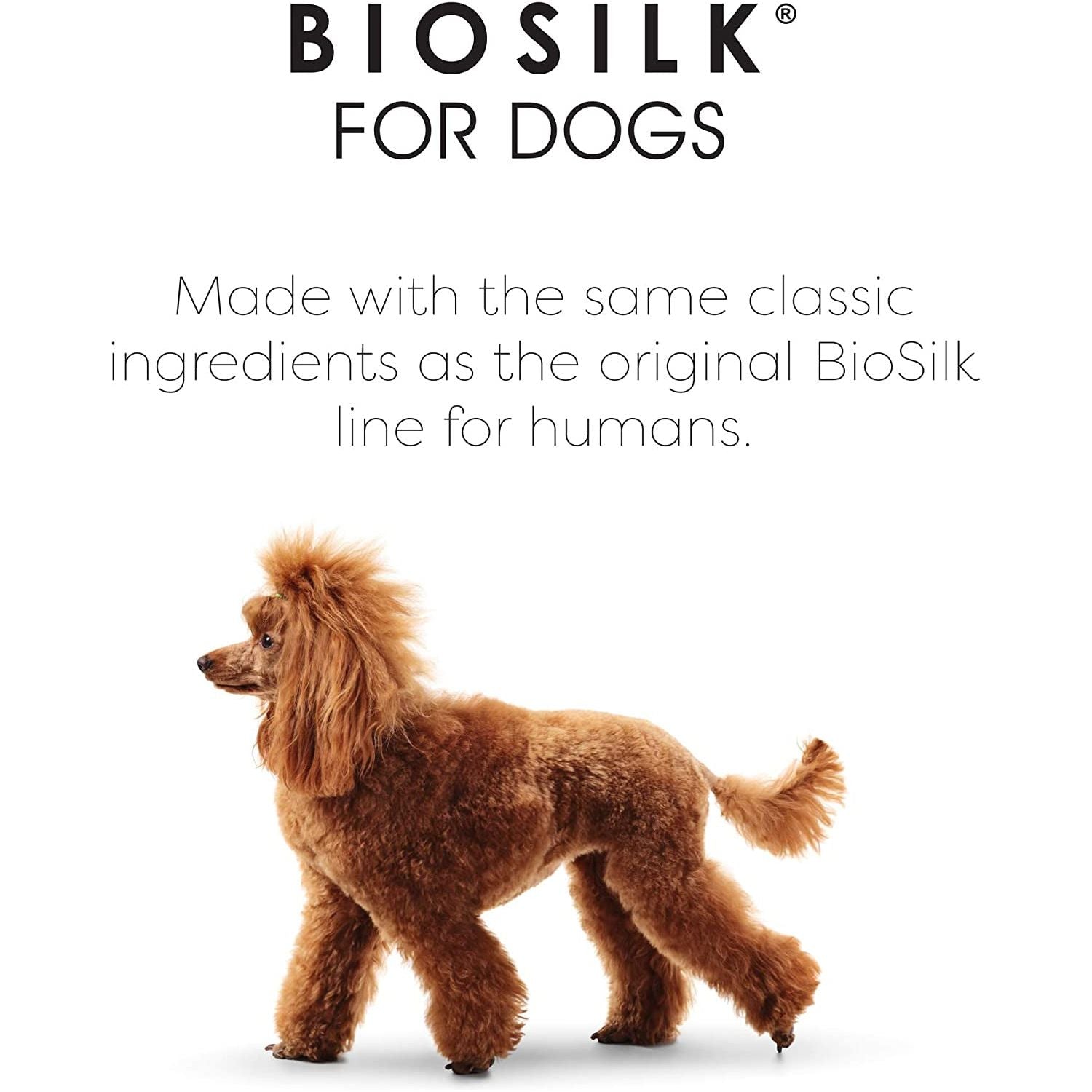 Biosilk for Dogs Silk Therapy Shampoo with Organic Coconut Oil | Coconut Dog Shampoo Waterless Shampoo | Dry Dog Shampoo from Silk Therapy for Fresh Dog Coats,Beige - HappyTails