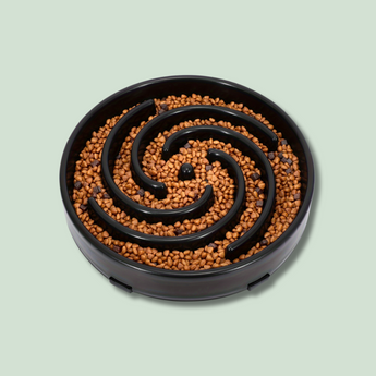 Whippy Slow Feeder Dog Bowl - EachPaw