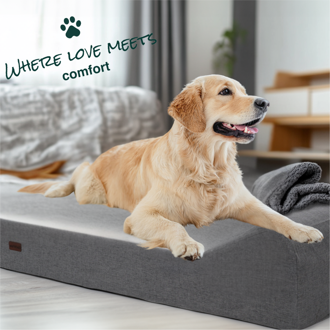 EachPaw Orthopedic Dog Bed