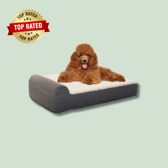 EachPaw Orthopedic Dog Bed