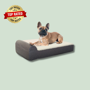 EachPaw Orthopedic Dog Bed