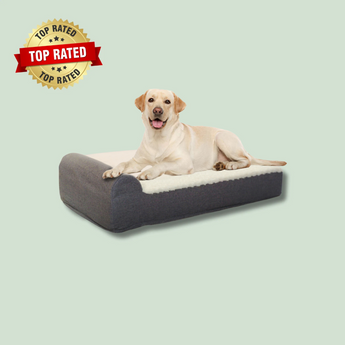 EachPaw Orthopedic Dog Bed