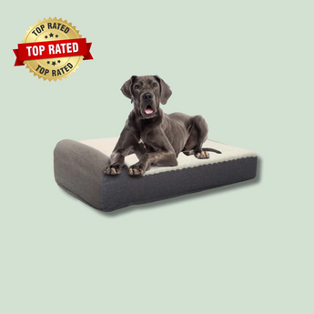 EachPaw Orthopedic Dog Bed