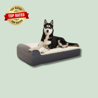 EachPaw Orthopedic Dog Bed