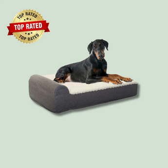 EachPaw Orthopedic Dog Bed