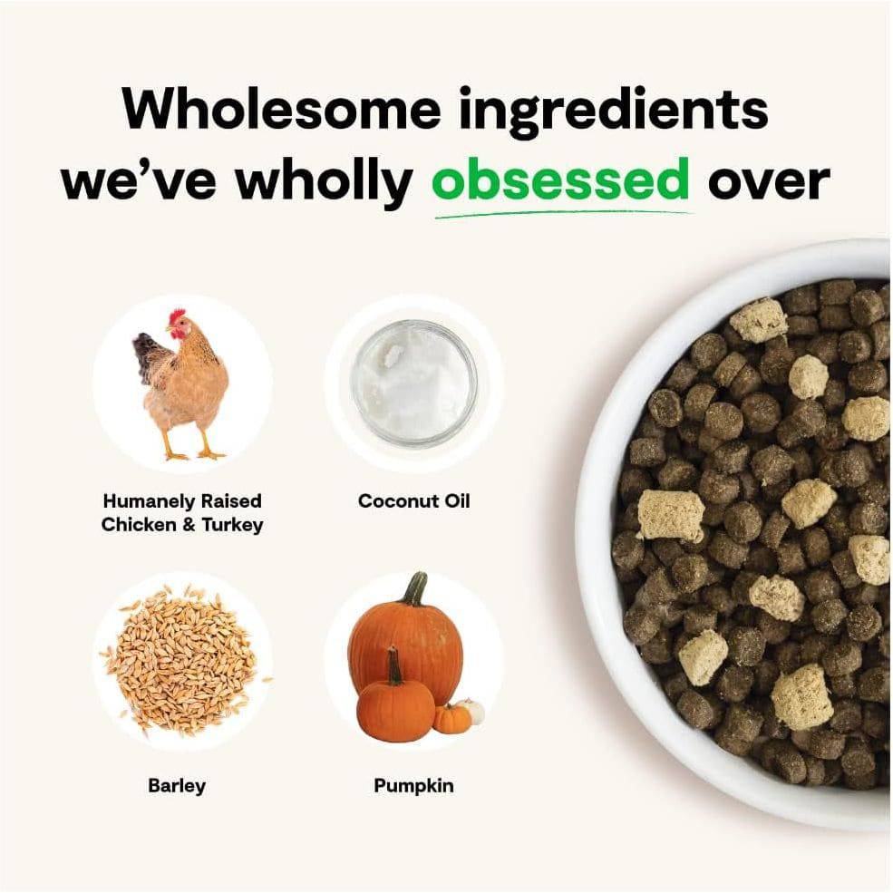 A promotional image highlighting wholesome ingredients for pet food. The layout includes the text "Wholesome ingredients we've wholly obsessed over" with a green accent on "obsessed." Displayed are images: a chicken labeled "Humanely Raised Chicken & Turkey," a jar of coconut oil, a pile of barley, and a pumpkin. On the right, there's a bowl filled with dry pet food containing brown pellets and lighter cubes.