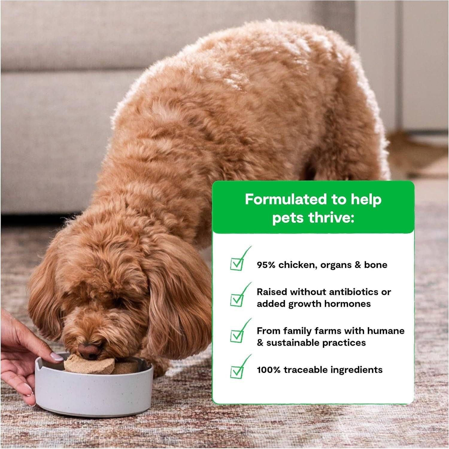 A fluffy, light brown dog eating from a bowl, with an informational display next to it listing benefits of the pet food, including no antibiotics, humane farm practices, and traceable ingredients.