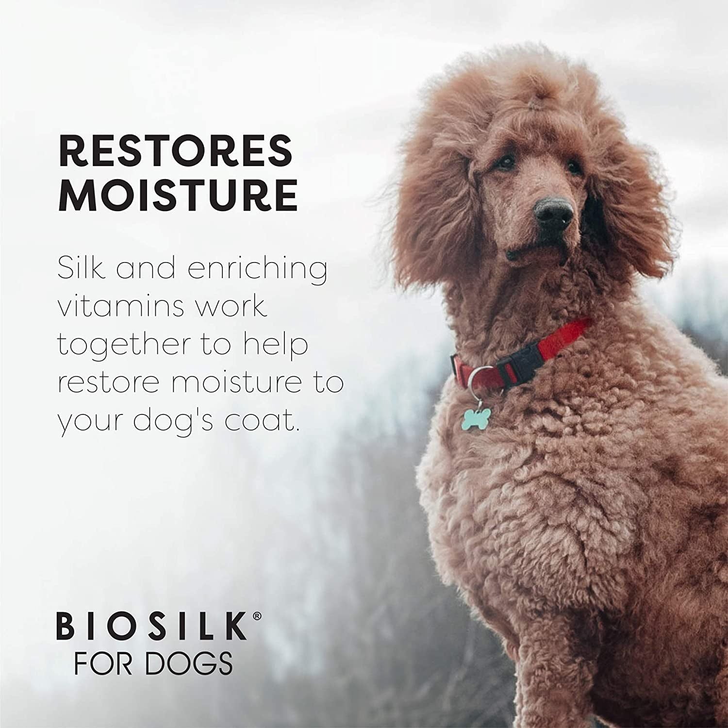 Biosilk for Dogs Silk Therapy Shampoo with Organic Coconut Oil | Coconut Dog Shampoo Waterless Shampoo | Dry Dog Shampoo from Silk Therapy for Fresh Dog Coats,Beige - HappyTails