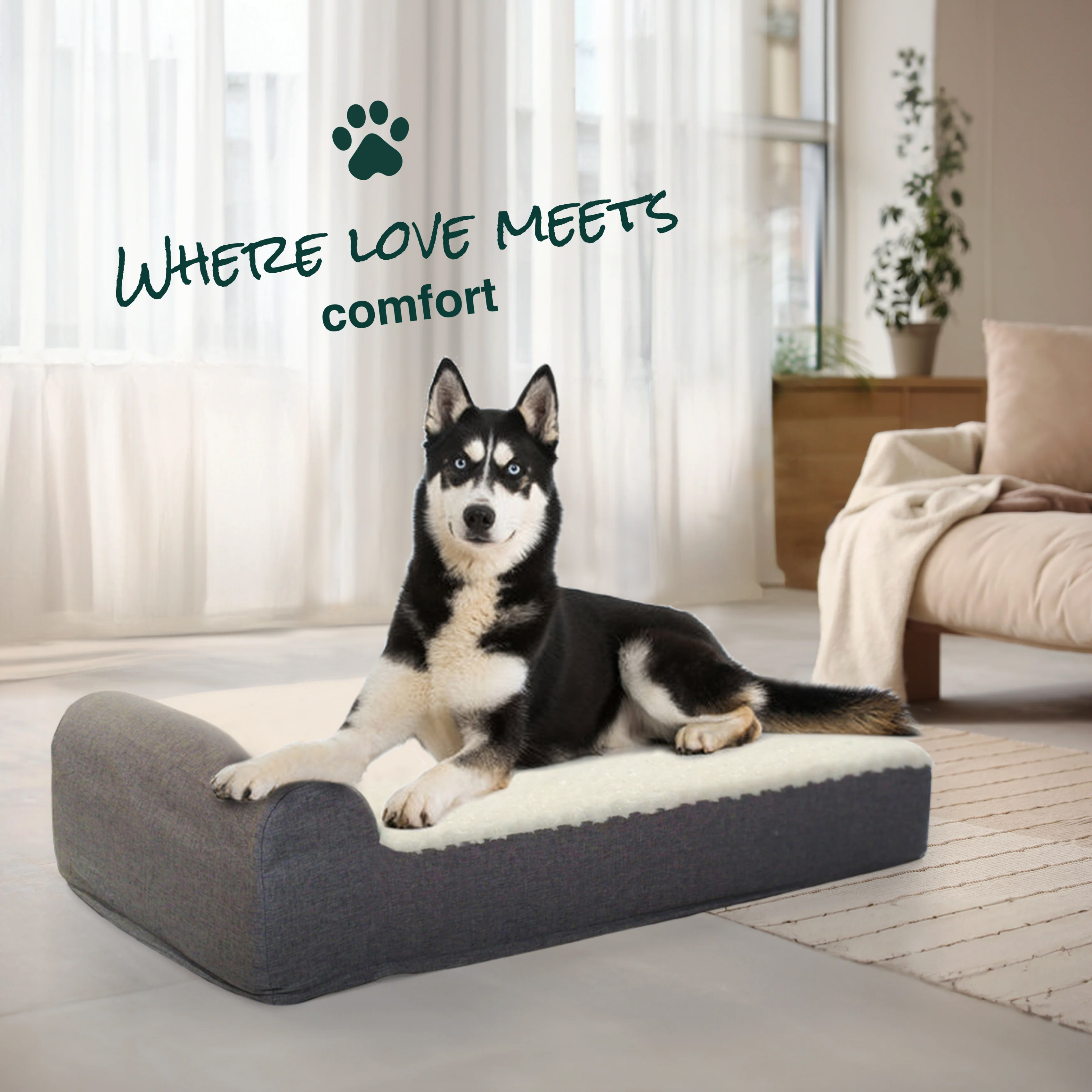 EachPaw Orthopedic Dog Bed