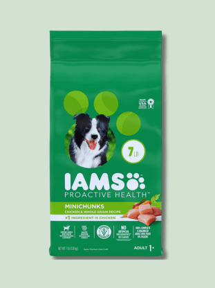 A 7lb green bag of Iams Proactive Health Minichunks Adult 1+ Minichunks dry dog food with a picture of a black and white dog on the front, and icons indicating the food is made with real chicken, has no artificial preservatives, and is for adult dogs.