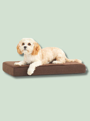 Barkbox Memory Foam Dog Bed - EachPaw