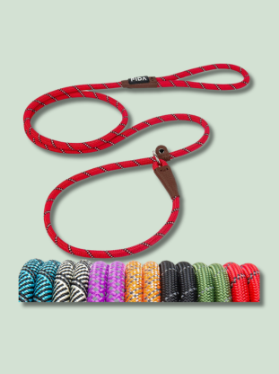 Fida Dog Slip Lead Leash - EachPaw