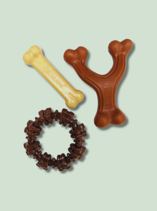 Nylabone Chew Toy Bundle - EachPaw