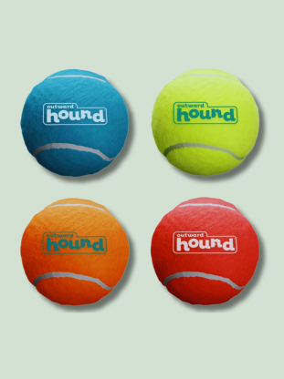 Outward Hound Squeaker Ball - EachPaw