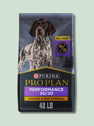 A bag of Purina Performance 30/20 Chicken & Rice Formula dog food 48 pounds in size with a picture of a brown and white spotted dog on the front.