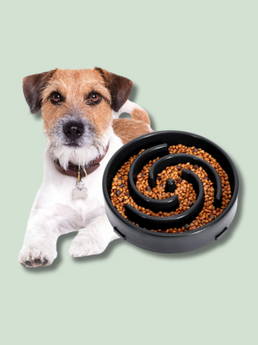 Whippy Slow Feeder Dog Bowl - EachPaw