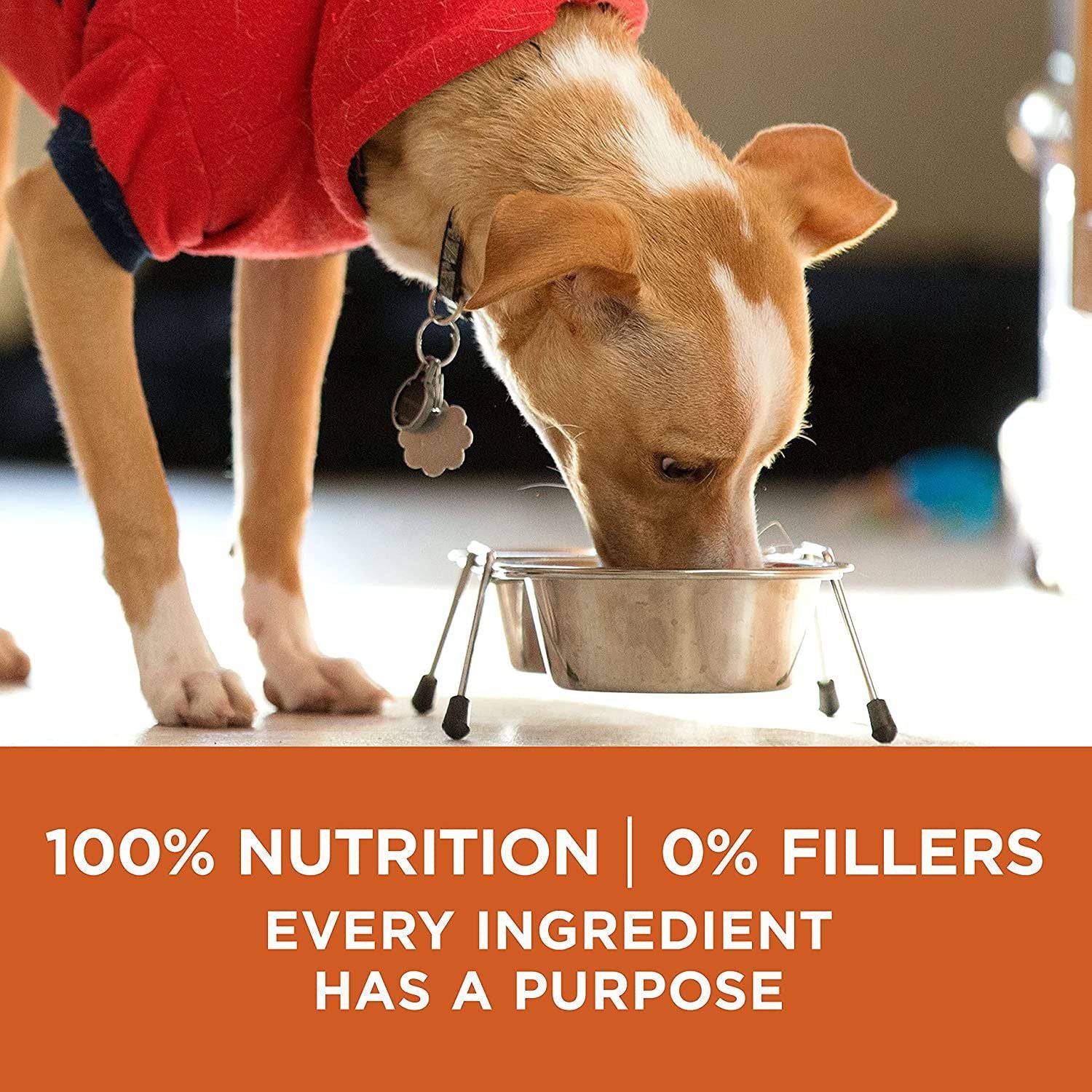 A brown dog wearing a red sweater eating from a metal bowl with text overlay that reads "100% Nutrition | 0% Fillers Every Ingredient Has a Purpose".