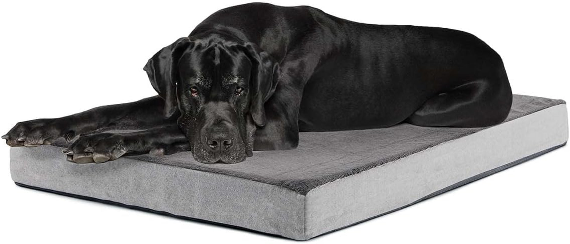 Barkbox Memory Foam Platform Dog Bed | Plush Mattress for Orthopedic Joint Relief (Medium, Grey)