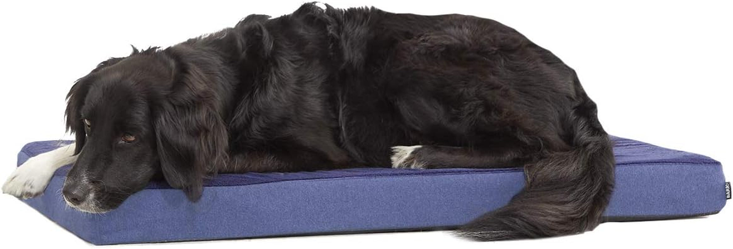 Barkbox Memory Foam Platform Dog Bed | Plush Mattress for Orthopedic Joint Relief (Medium, Grey)