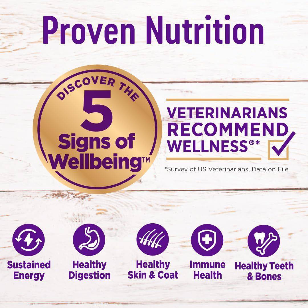 Advertisement for Proven Nutrition, featuring "Discover the 5 Signs of Wellbeing" with a check mark next to "Veterinarians Recommend Wellness," and icons representing sustained energy, healthy digestion, healthy skin & coat, immune health, and healthy teeth & bones.