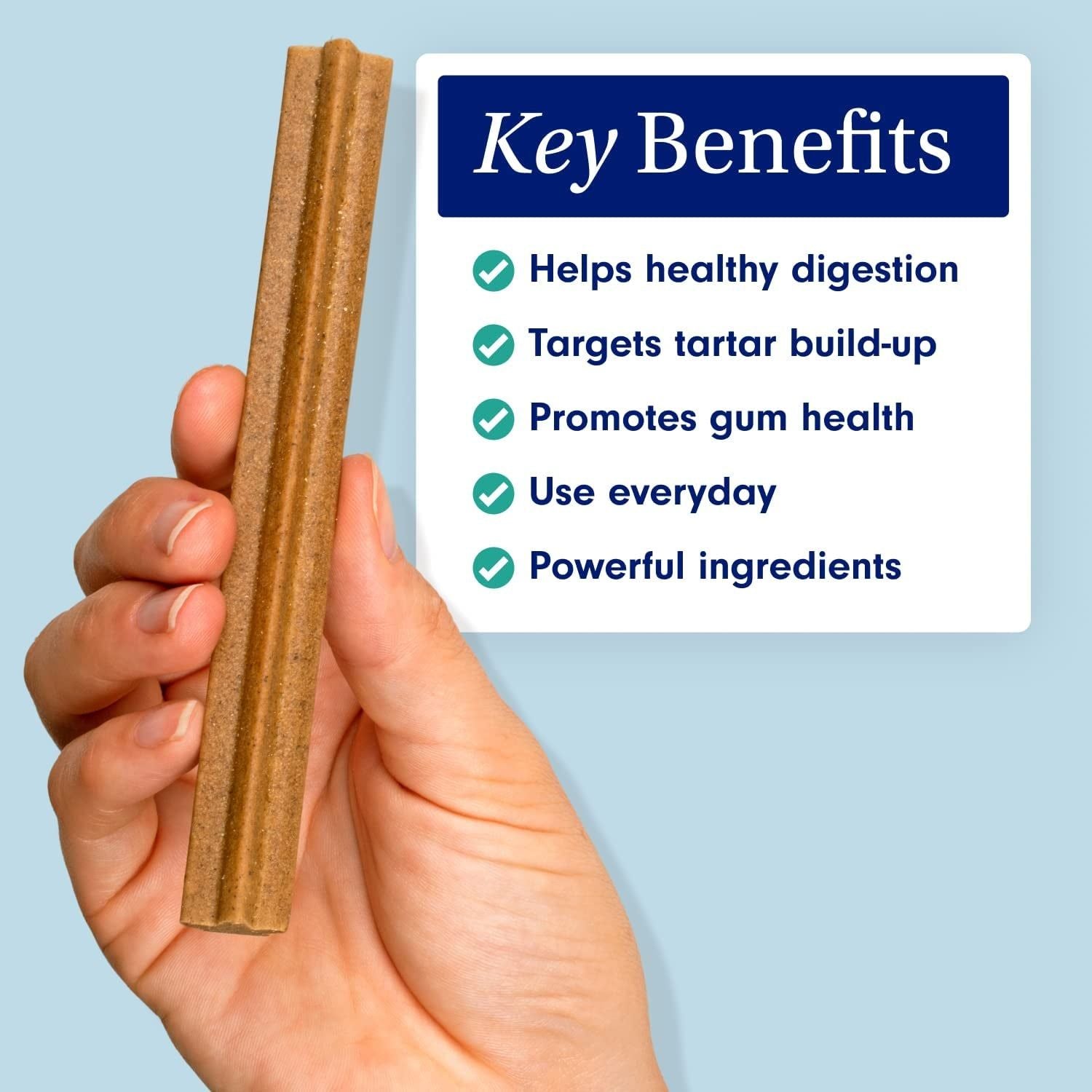 Petlab Co. Dental Sticks – Dog Dental Chews -Target Plaque & Tartar Build-Up at the Source - Designed to Maintain Your Dog’S Oral Health, Keep Breath Fresh and Provide Digestive Help (6 Sticks) - HappyTails