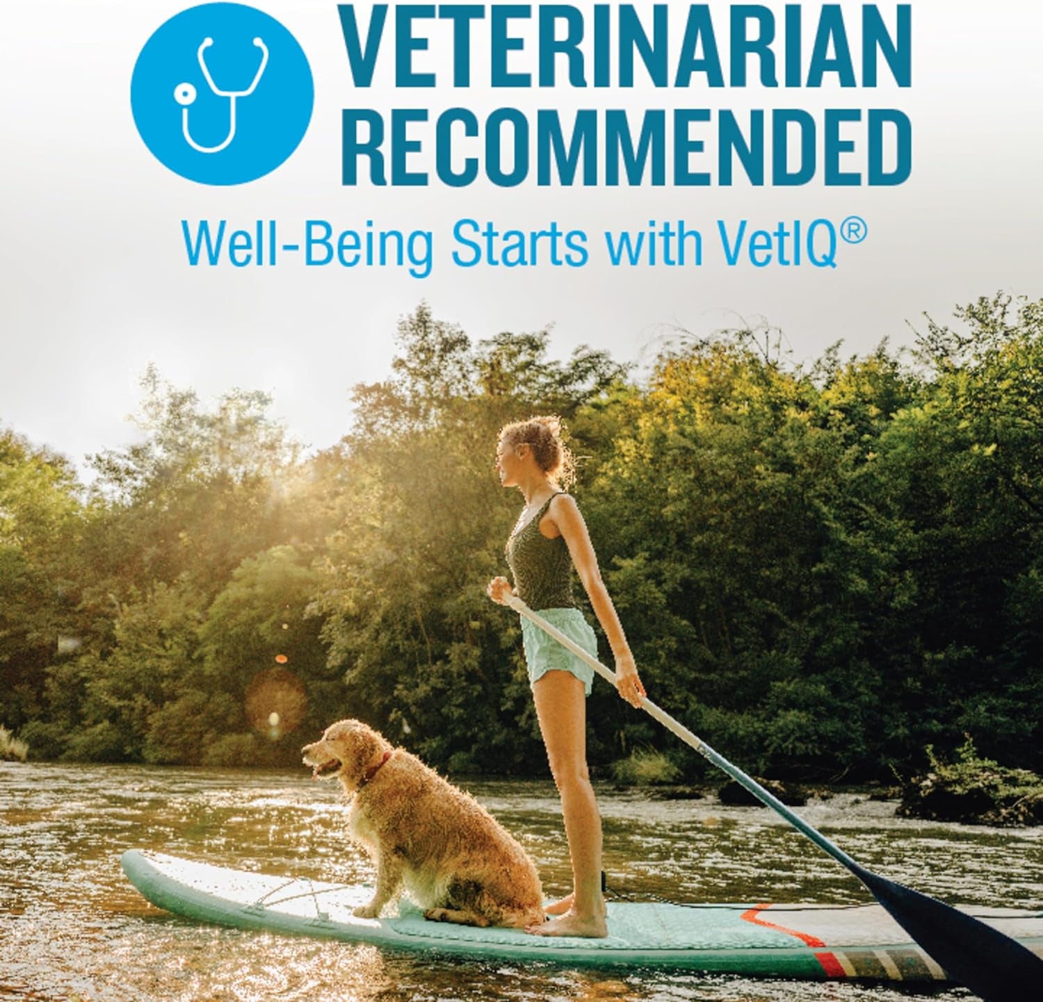 Vetiq Glucosamine Hip & Joint Supplement for Dogs, 180 Soft Chews, Dog Joint Support Supplement with MSM and Krill, Dog Health Supplies Large & Small Breed, Chicken Flavored Chewables