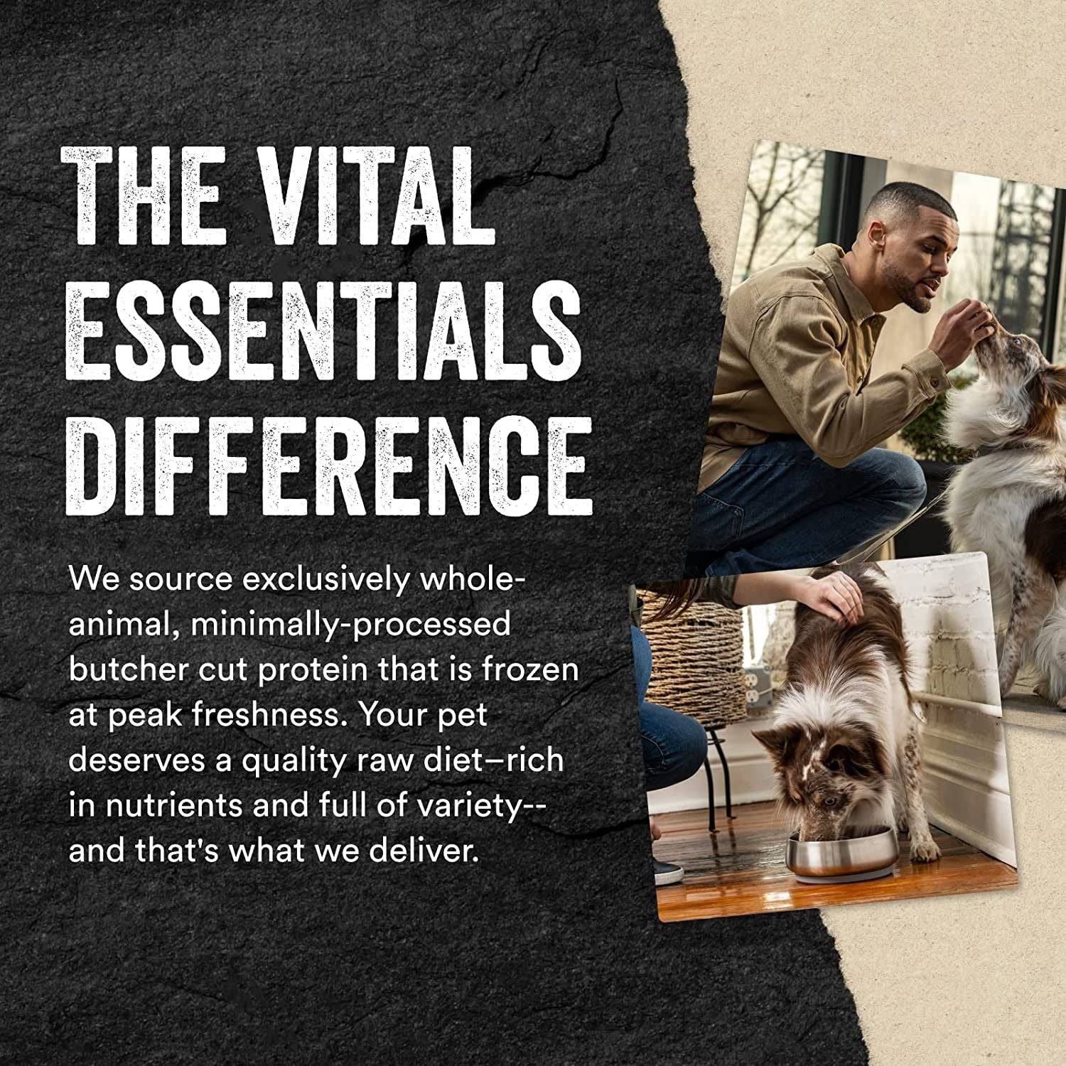 An advertisement displaying text "The Vital Essentials Difference" on a torn paper design, with a man in a beige jacket interacting with two fluffy dogs, one being fed from a bowl.