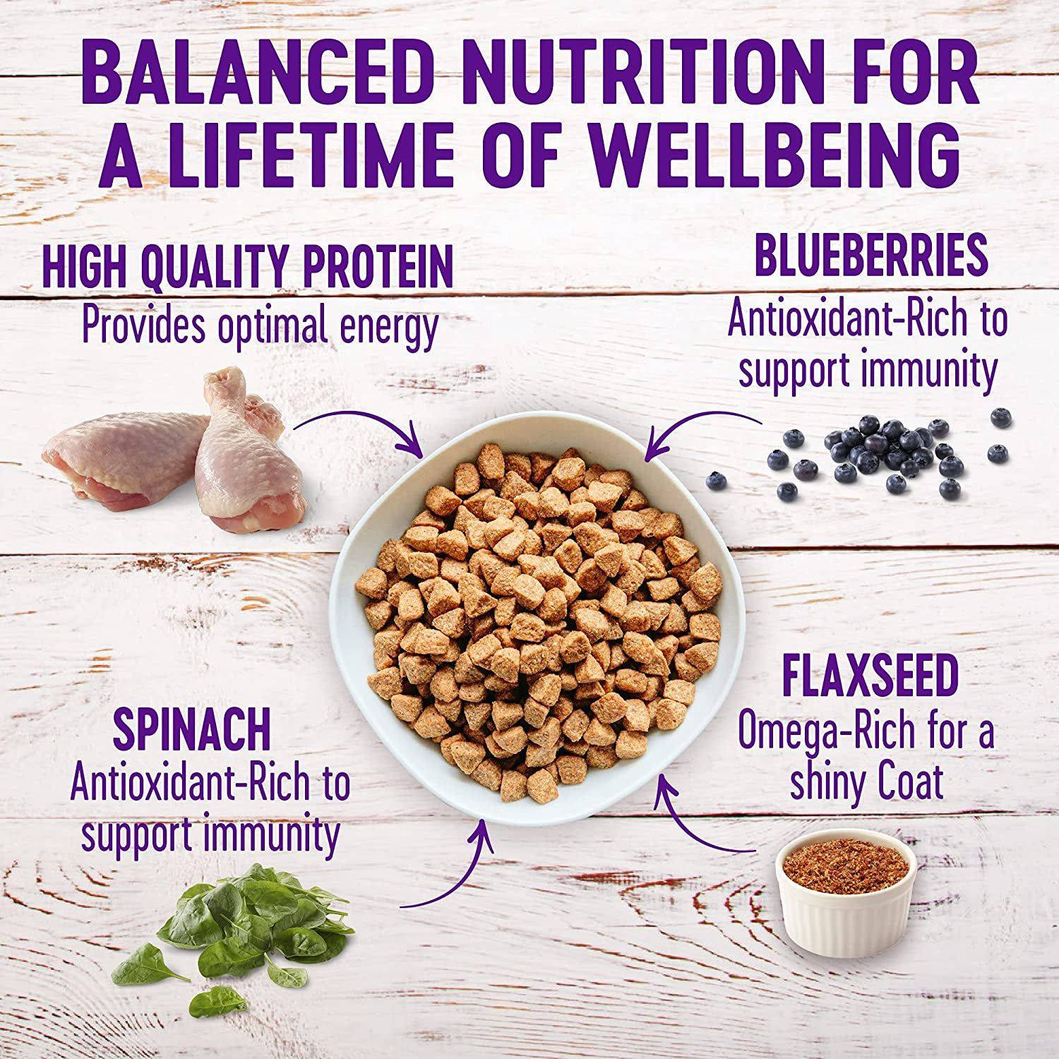 Infographic depicting balanced nutrition for a lifetime of wellbeing with images of high-quality protein, blueberries, spinach, and flaxseed with their respective health benefits listed next to them, surrounding a bowl of pet food in the center.