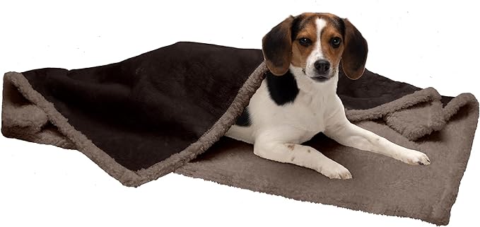 Furhaven Waterproof Blanket - EachPaw