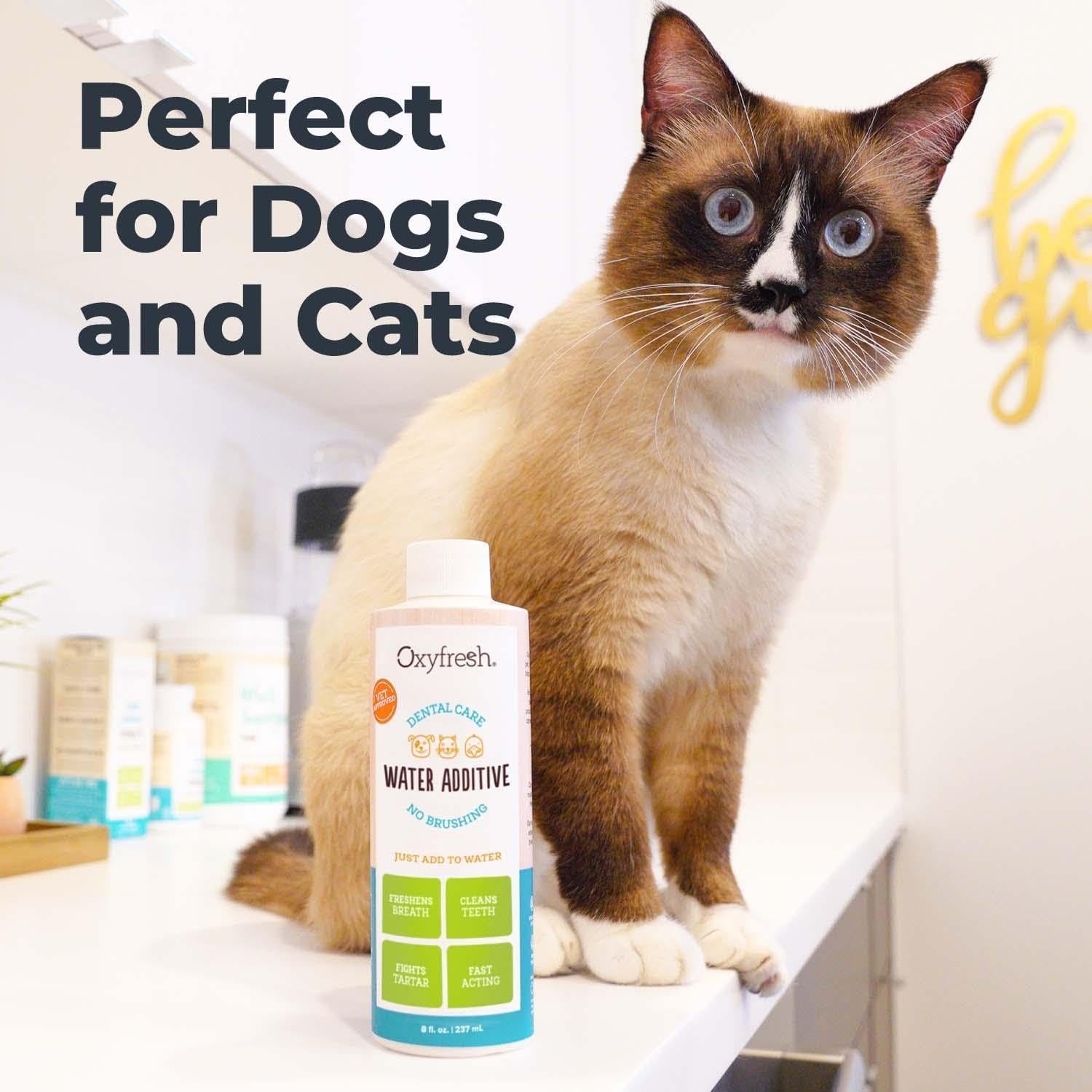 Oxyfresh Premium Pet Dental Care Solution Pet Water Additive: Best Way to Eliminate Bad Dog Breath and Cat Bad Breath - Fights Tartar & Plaque - so Easy, Just Add to Water! Vet Recommended 16 Oz.