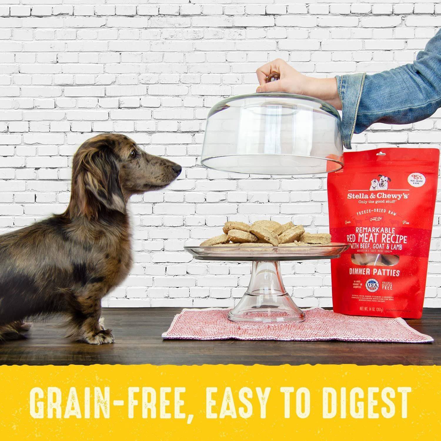 A brown and black long-haired dog looking up at a transparent cake stand filled with bone-shaped treats, with a red bag of Stella & Chewy's Remarkable Red Meat Recipe Dinner Patties next to it, and text at the bottom that reads "Grain-free, easy to digest" against a white brick wall background.