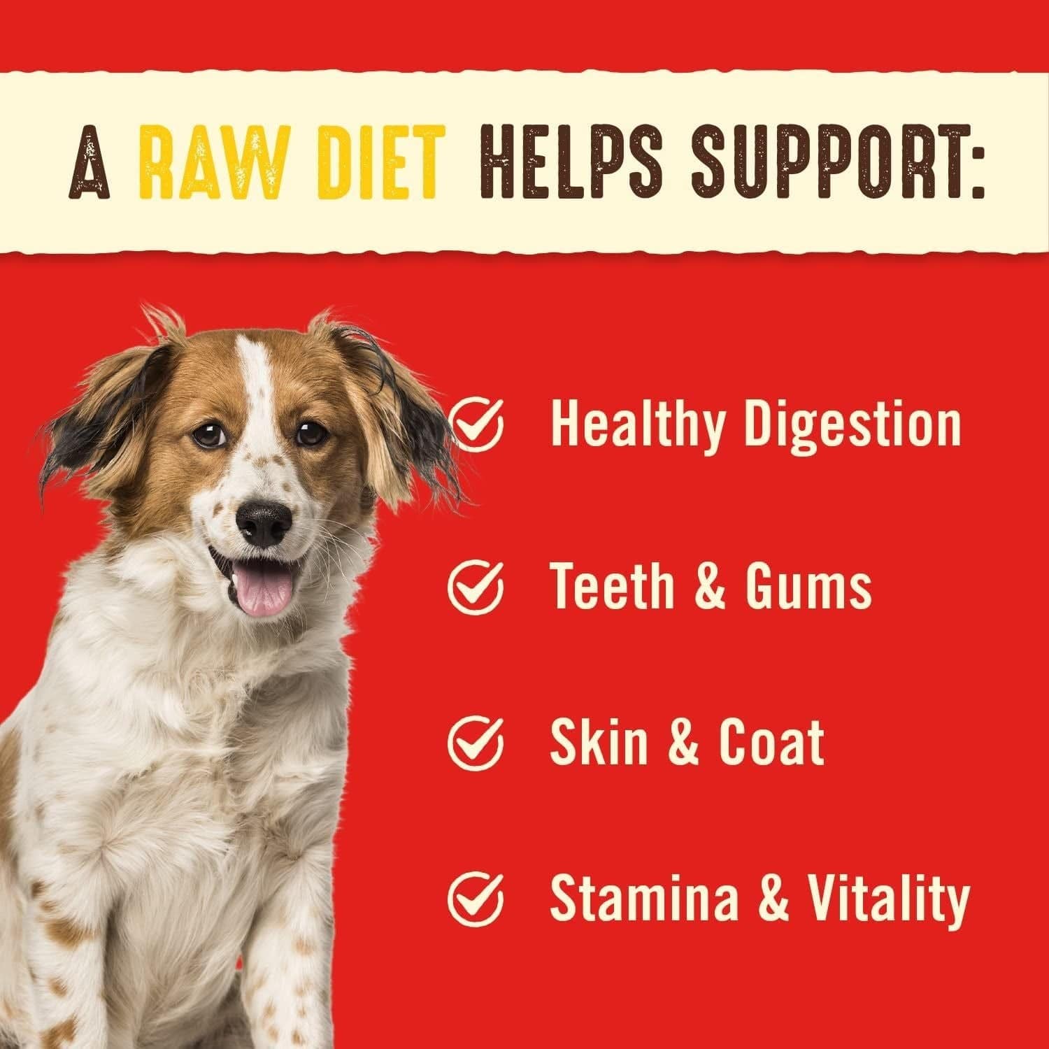 Graphic with a red background and a partially visible dog's body, with text that reads "A Raw Diet Helps Support:" followed by a list with check marks stating "Healthy Digestion, Teeth & Gums, Skin & Coat, Stamina & Vitality." The top of the image has a torn paper effect with the text.