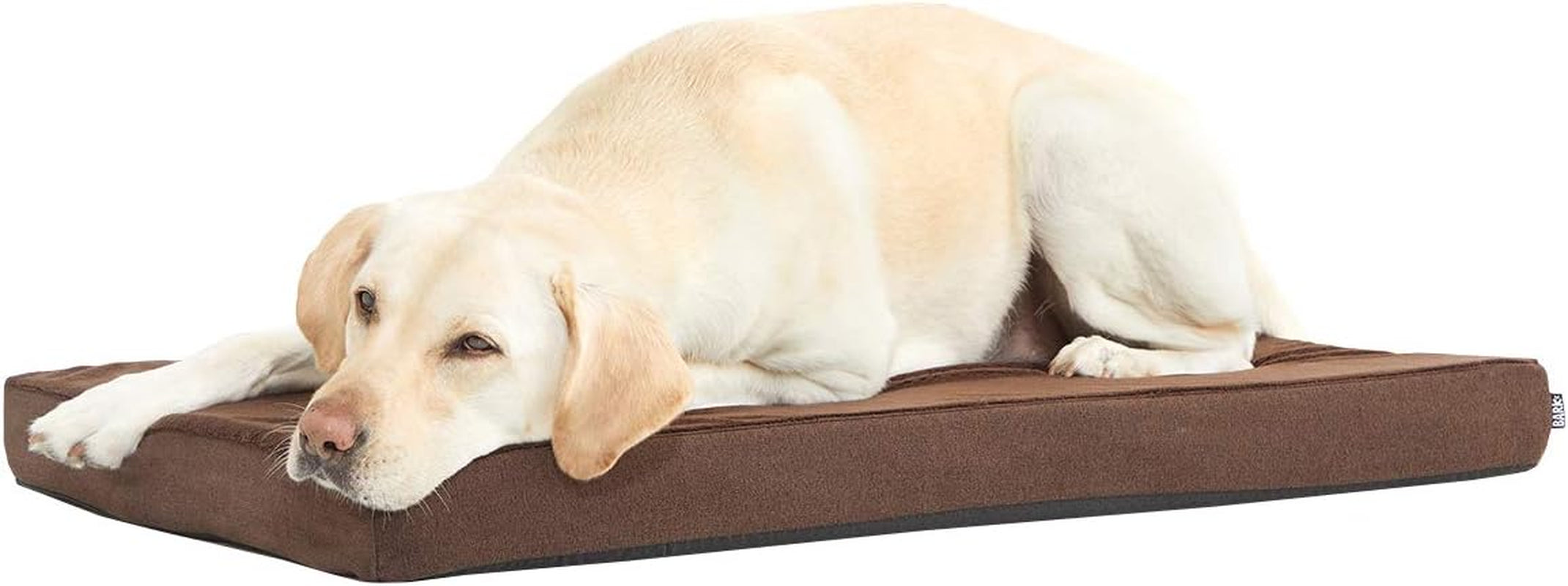 Barkbox Memory Foam Platform Dog Bed | Plush Mattress for Orthopedic Joint Relief (Medium, Grey)