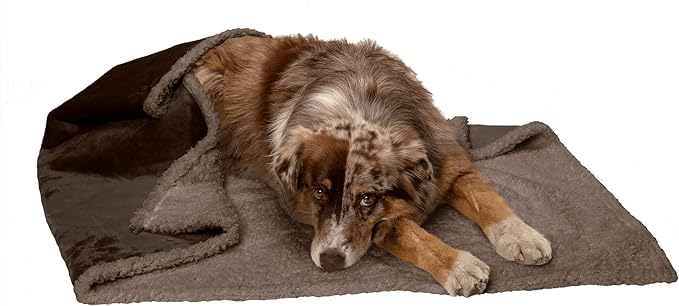 Furhaven Waterproof Blanket - EachPaw