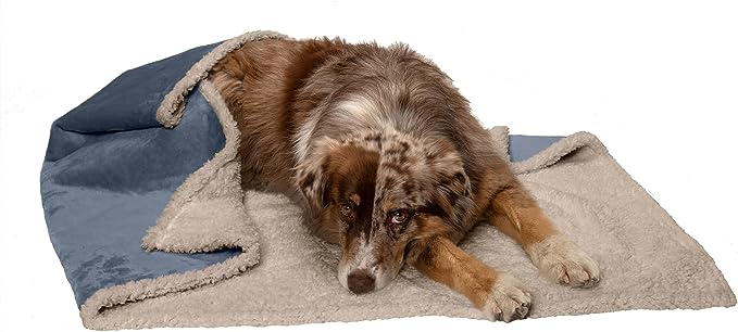 Furhaven Waterproof Blanket - EachPaw