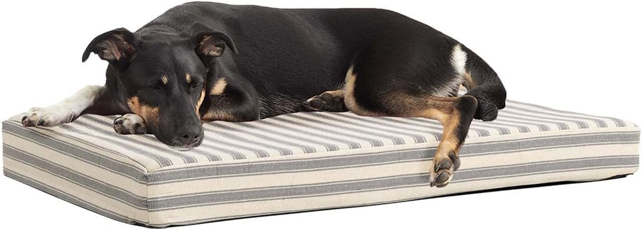 Barkbox Memory Foam Platform Dog Bed | Plush Mattress for Orthopedic Joint Relief (Medium, Grey)