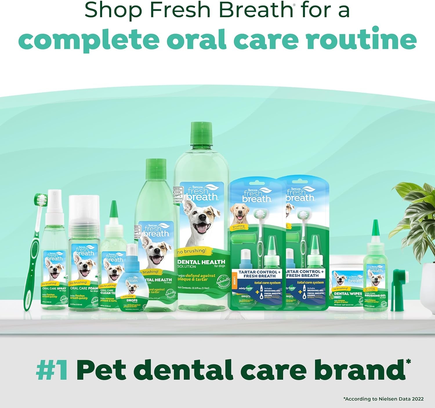 Tropiclean Fresh Breath Original | Dog Oral Care Water Additive | Dog Breath Freshener Additive for Dental Health | VOHC Certified | Made in the USA | 33.8 Oz.