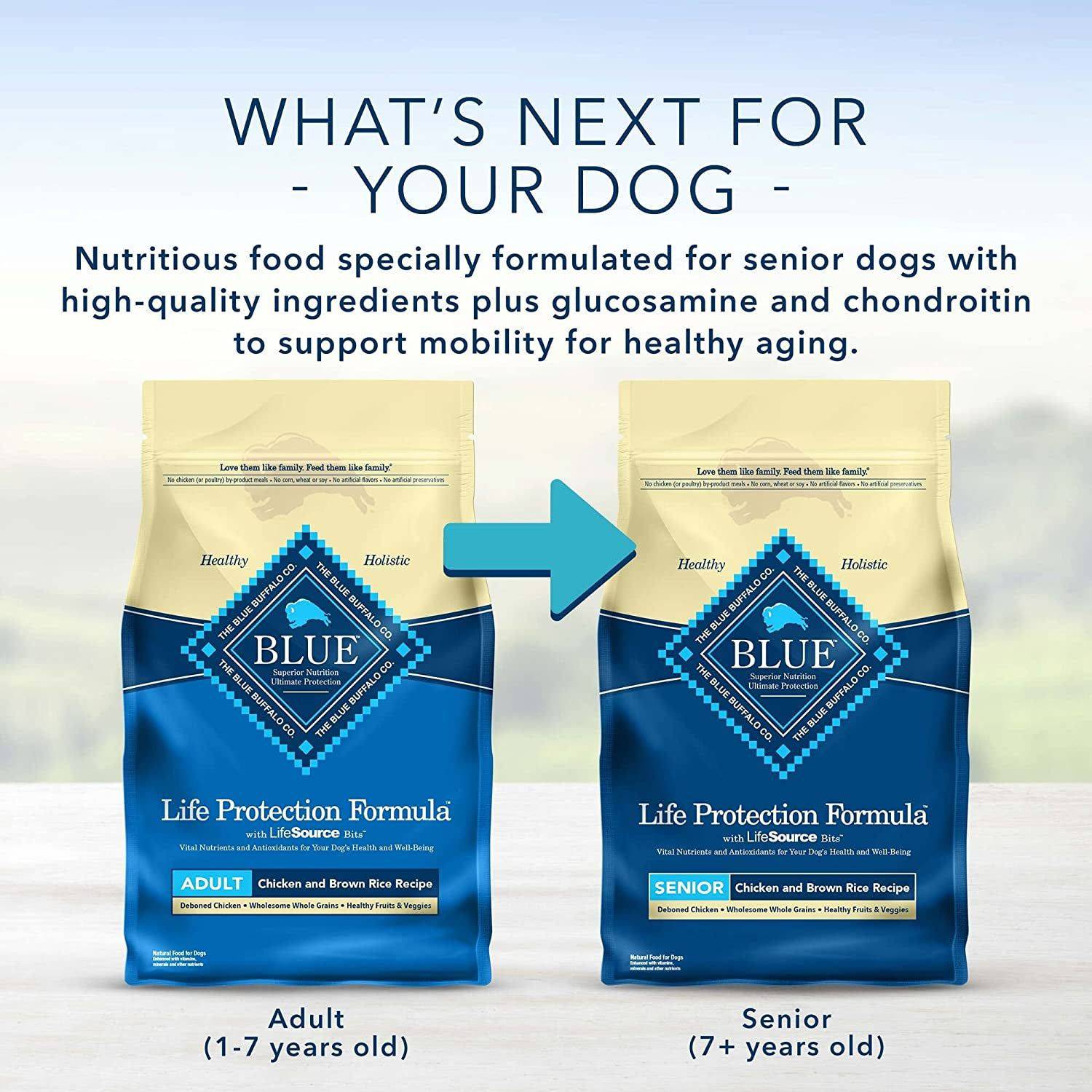 Two bags of Blue Buffalo dog food, one for adult dogs (1-7 years old) and the other for senior dogs (7+ years old), with text above stating "What's next for your dog - Nutritious food specially formulated for senior dogs with high-quality ingredients plus glucosamine and chondroitin to support mobility for healthy aging."