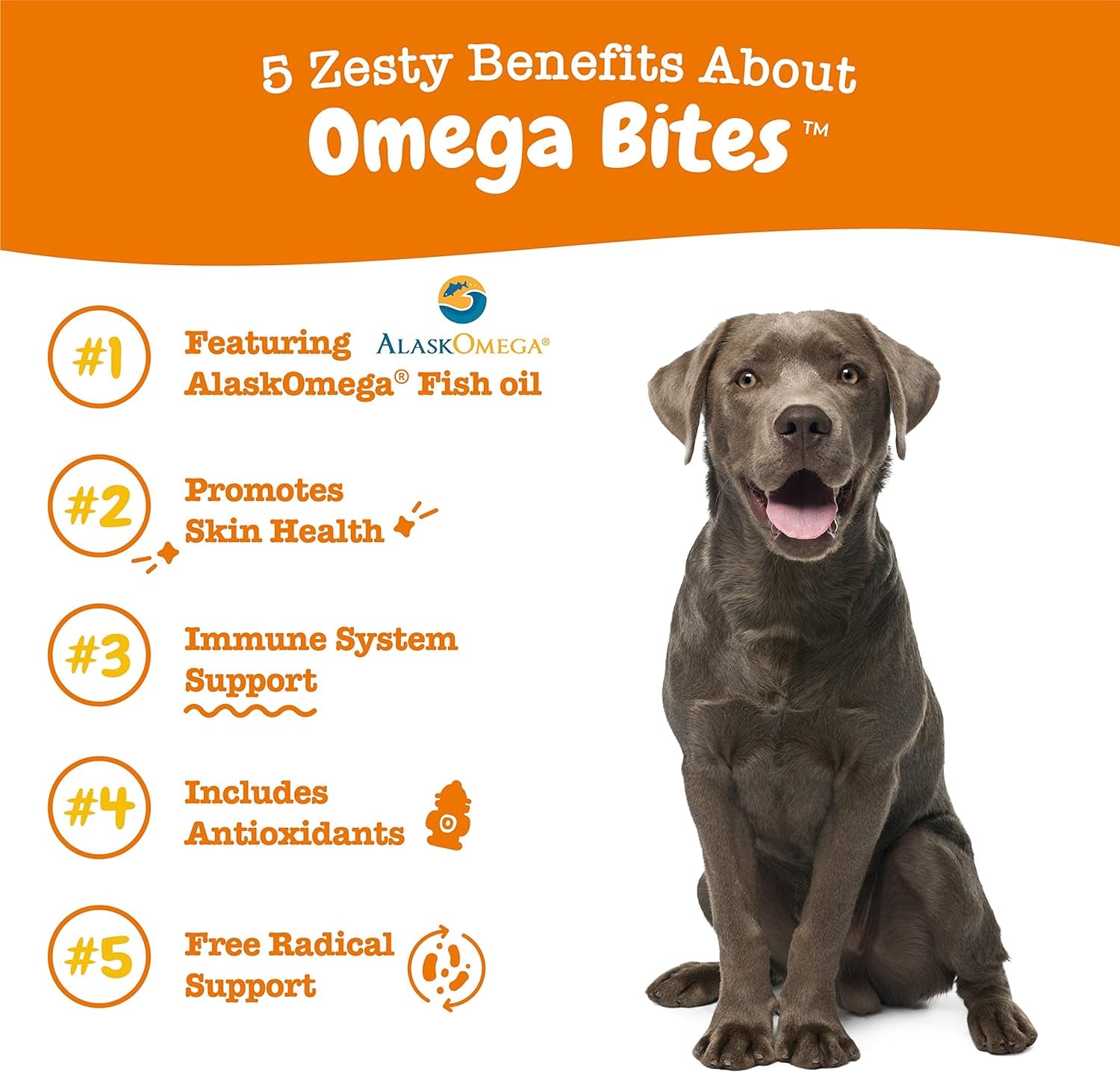 Zesty Paws Omega 3 Alaskan Fish Oil Chew Treats for Dogs - with Alaskomega for EPA & DHA Fatty Acids - Hip & Joint Support + Skin & Coat Chicken Flavor (90 Soft Chews)