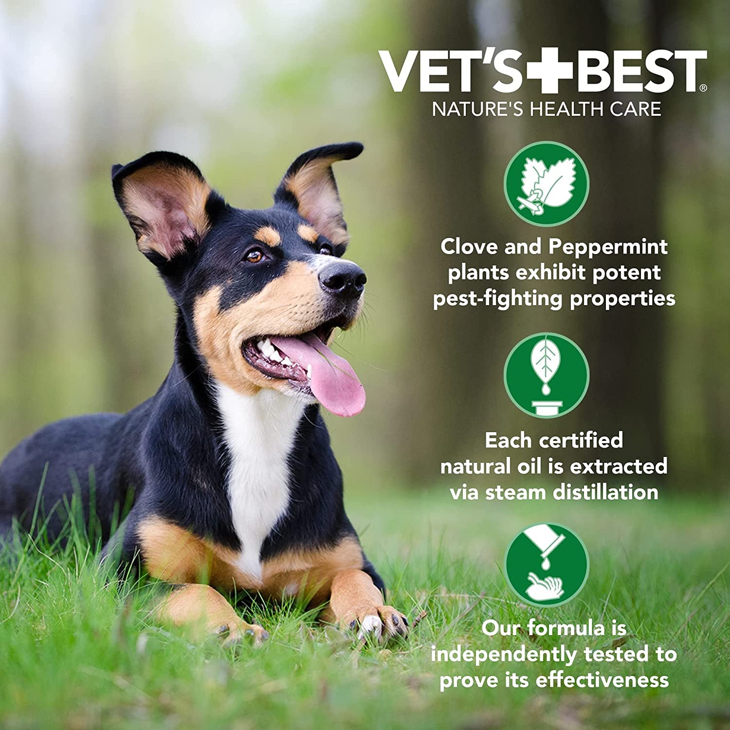 Vet’S Best Flea & Tick Advanced Strength Dog Shampoo - Dog Flea and Tick Treatment - Plant-Based Formula - Certified Natural Oils - 12 Oz