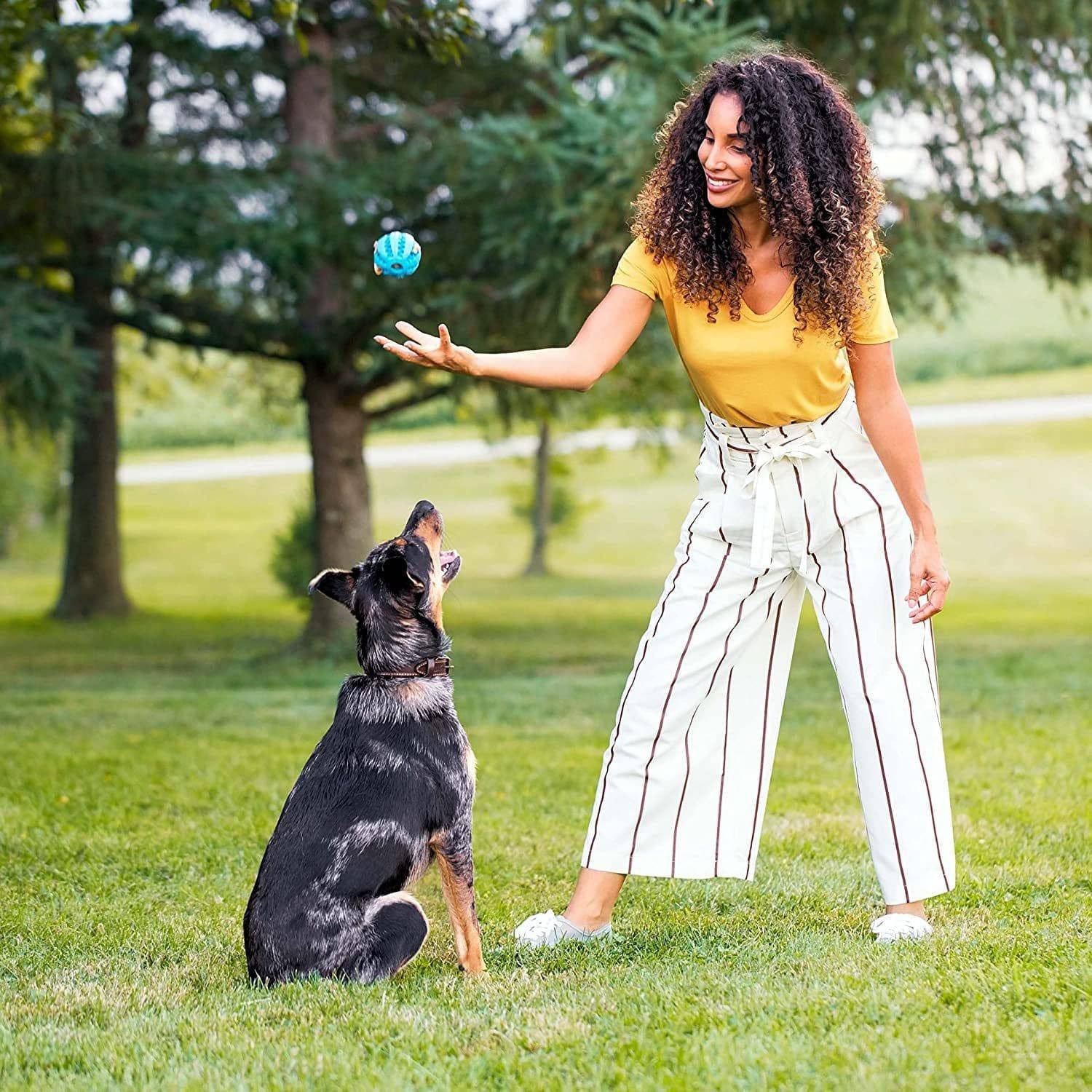 A person in a yellow shirt and striped pants playing with a black and brown dog in a grassy area with trees in the background. A blue ball is suspended in the air between them as the dog watches it intently.