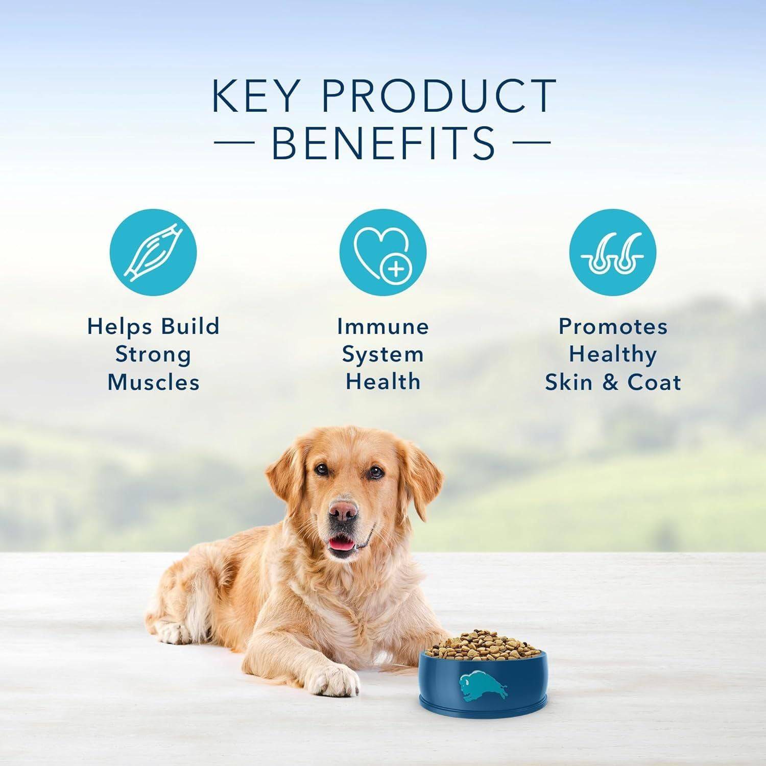 A golden retriever sits next to a bowl of dog food against a serene natural backdrop, with text above stating "Key Product Benefits," accompanied by icons indicating the product helps build strong muscles, supports immune system health, and promotes healthy skin and coat.