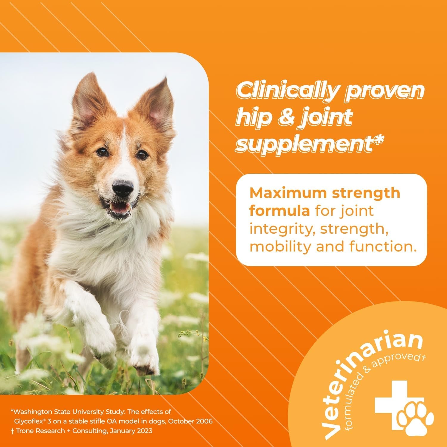 Vetriscience Glycoflex 3 Clinically Proven Hip and Joint Supplement for Dogs - Maximum Strength Dog Supplement with Glucosamine, MSM, Green Lipped Mussel & DMG - 120 Chews, Chicken Flavor​