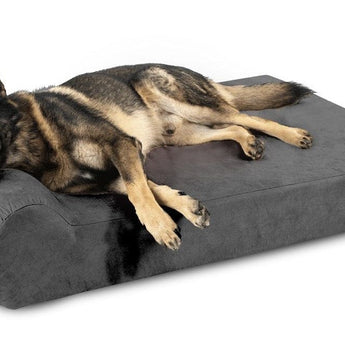 Big Barker Orthopedic Dog Bed