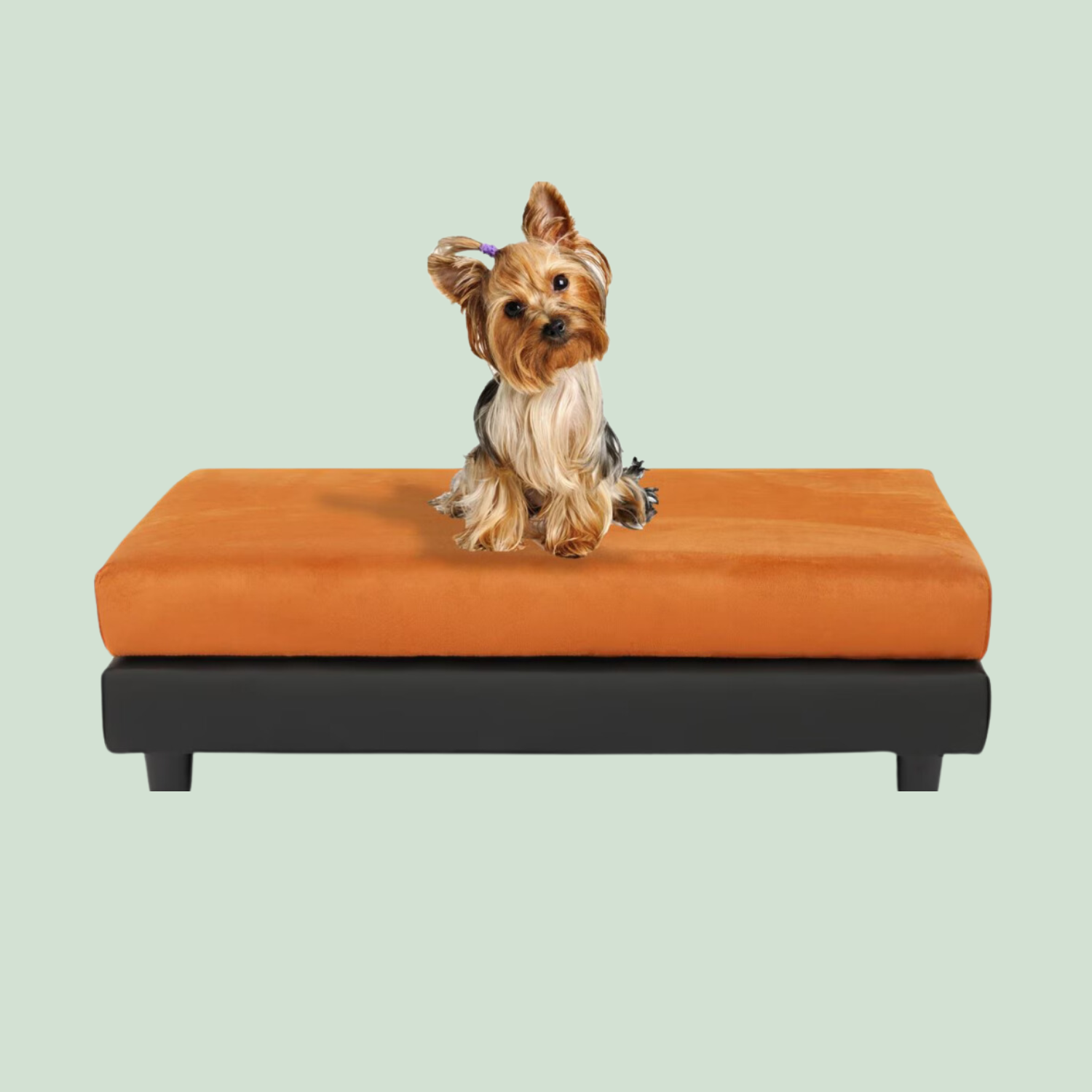 Club Nine Elevated Dog Bed