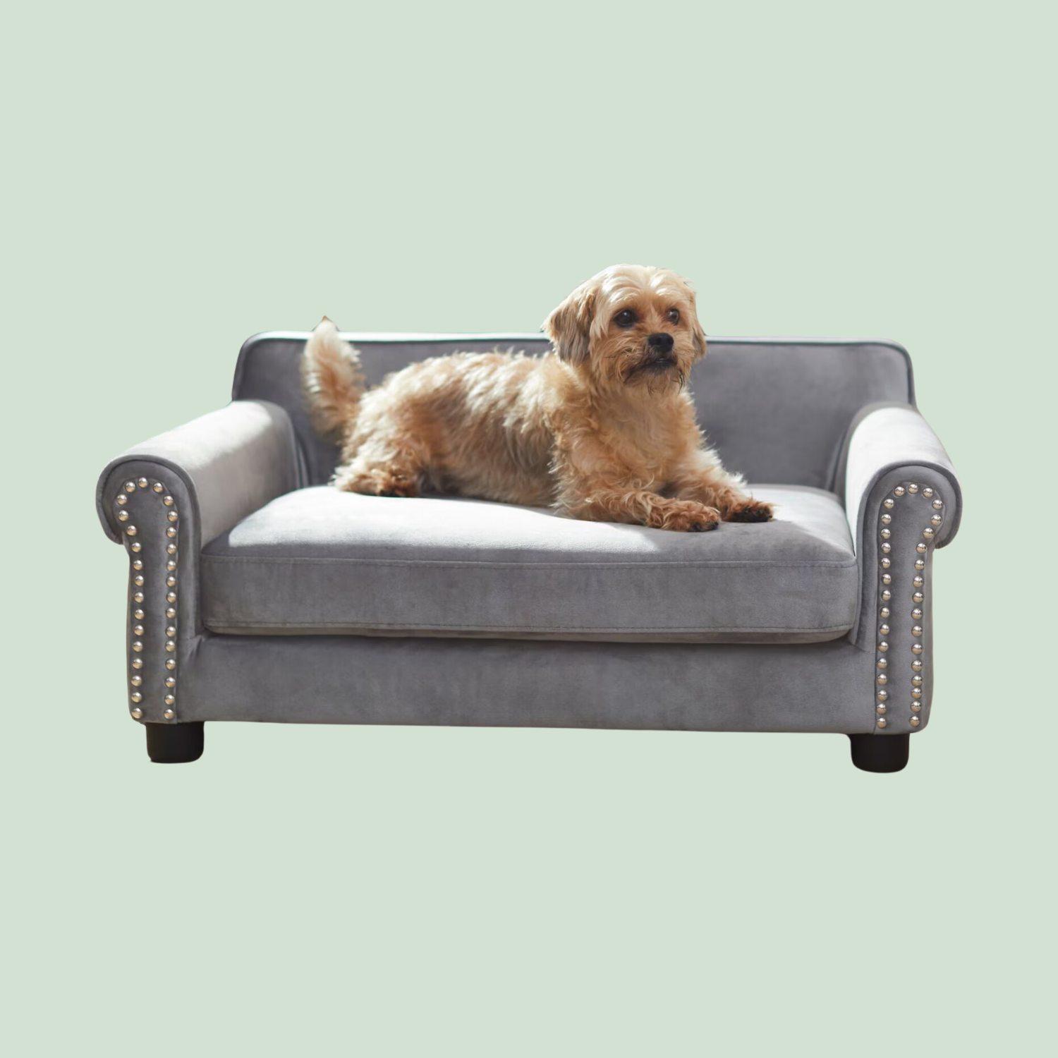 Frisco Sofa Dog Bed