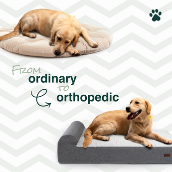 EachPaw Orthopedic Dog Bed