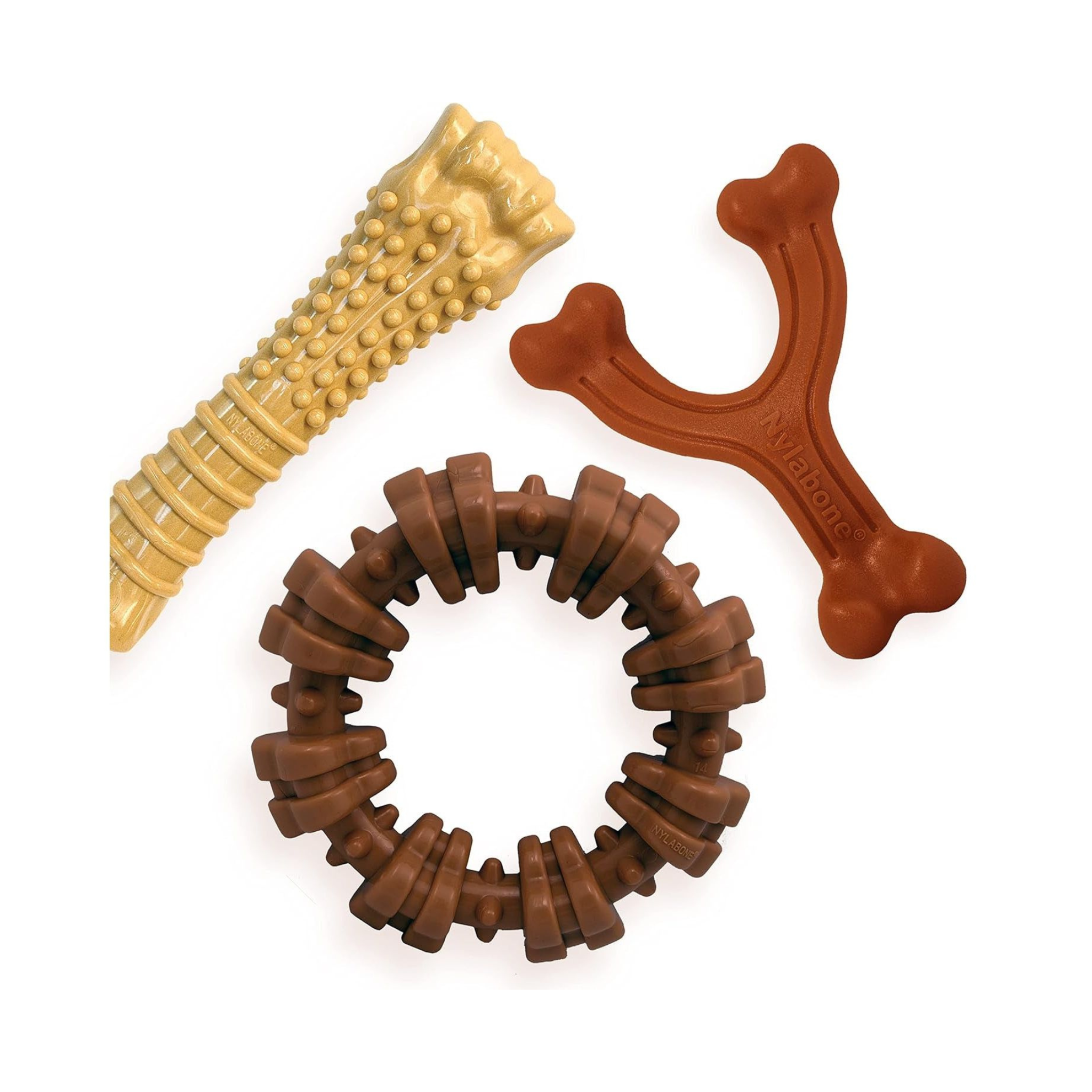 Nylabone Chew Toy Bundle - EachPaw